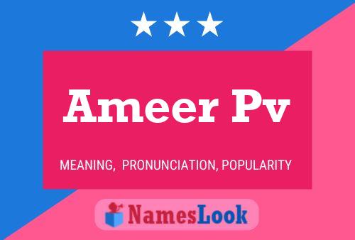 Ameer Pv Name Poster