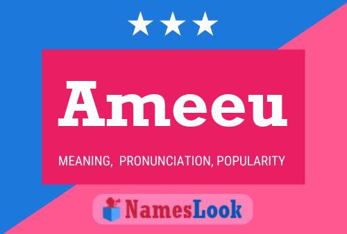 Ameeu Name Poster