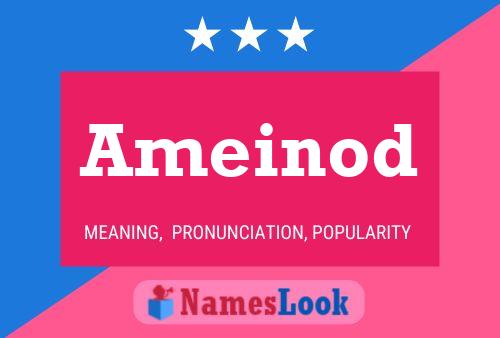 Ameinod Name Poster