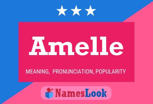 Amelle Name Poster