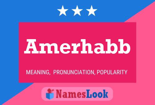 Amerhabb Name Poster