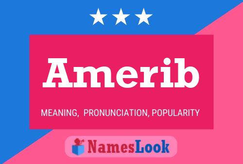 Amerib Name Poster