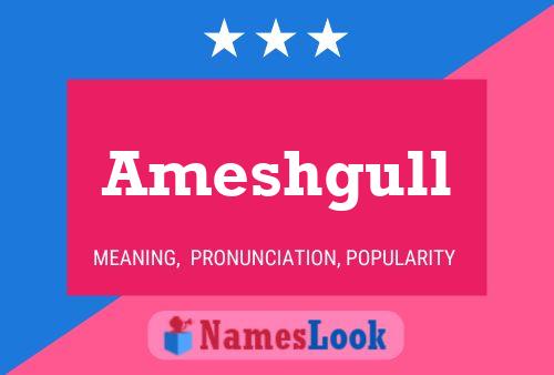 Ameshgull Name Poster