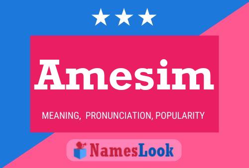 Amesim Name Poster