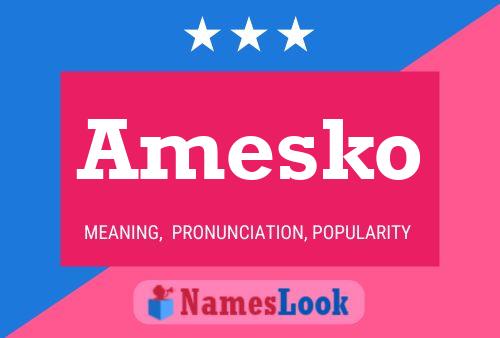 Amesko Name Poster