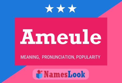 Ameule Name Poster