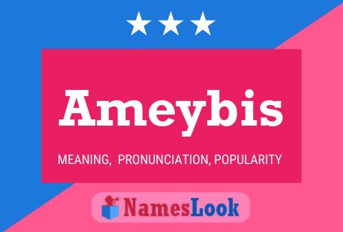 Ameybis Name Poster