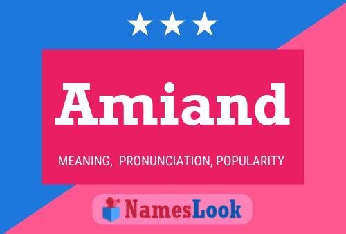 Amiand Name Poster