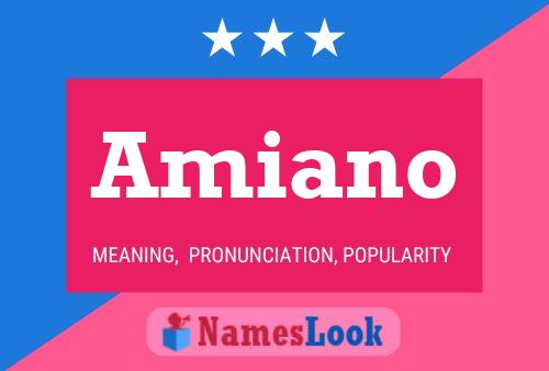 Amiano Name Poster