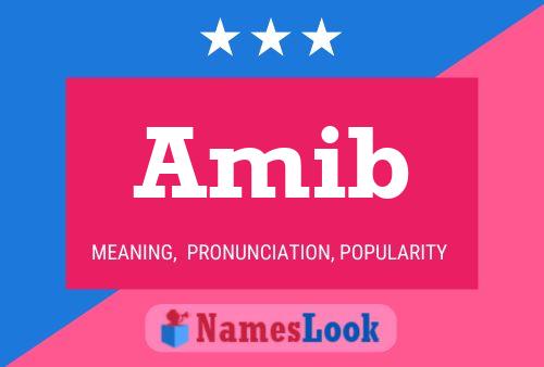 Amib Name Poster