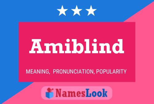 Amiblind Name Poster