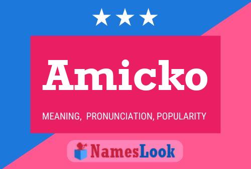 Amicko Name Poster