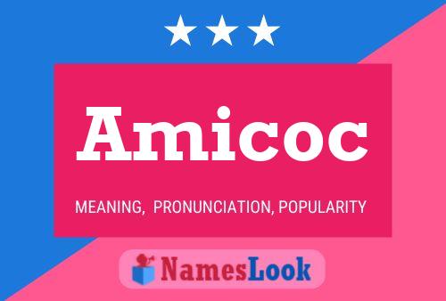 Amicoc Name Poster