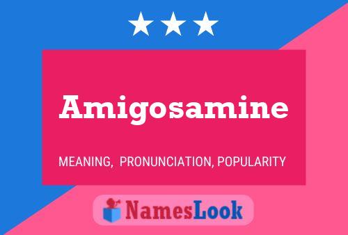 Amigosamine Name Poster