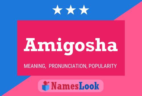 Amigosha Name Poster