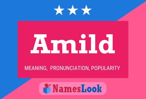 Amild Name Poster