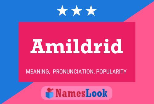 Amildrid Name Poster