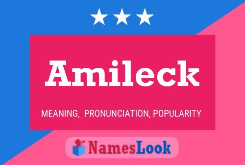 Amileck Name Poster