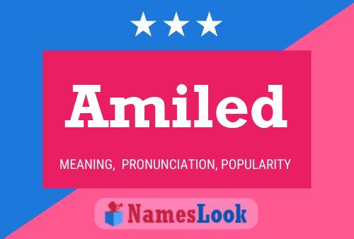 Amiled Name Poster