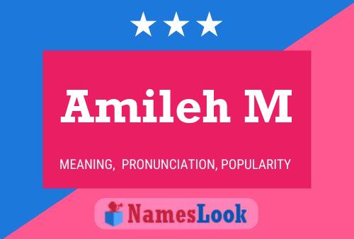 Amileh M Name Poster