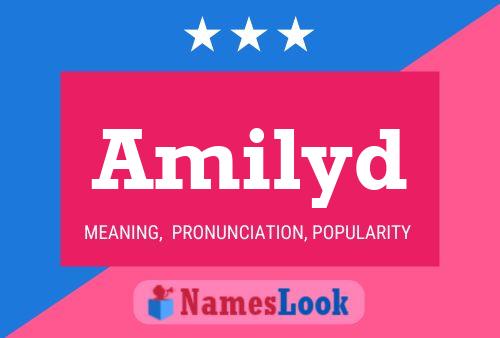 Amilyd Name Poster