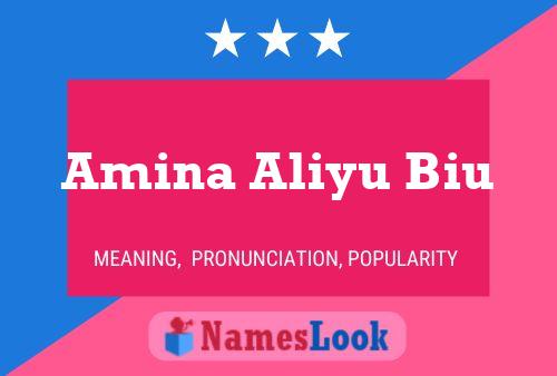 Amina Aliyu Biu Name Poster