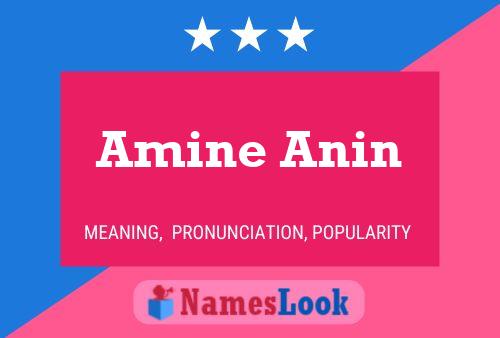 Amine Anin Name Poster