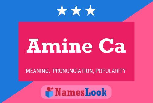 Amine Ca Name Poster