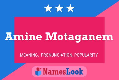 Amine Motaganem Name Poster