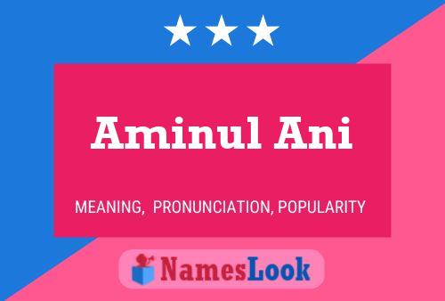 Aminul Ani Name Poster