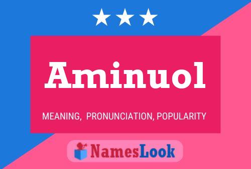 Aminuol Name Poster