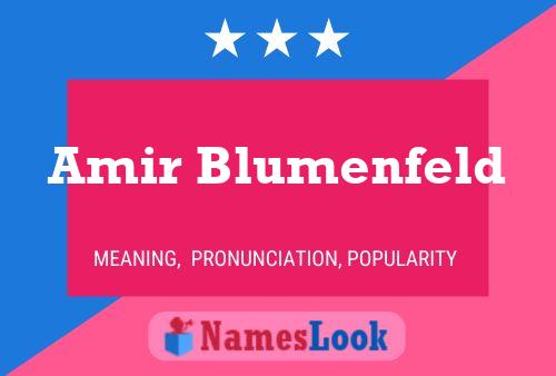 Amir Blumenfeld Name Poster