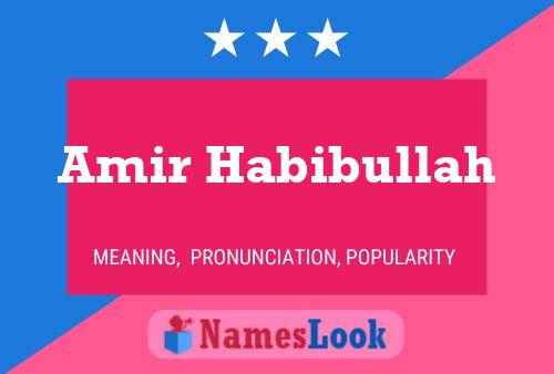 Amir Habibullah Name Poster