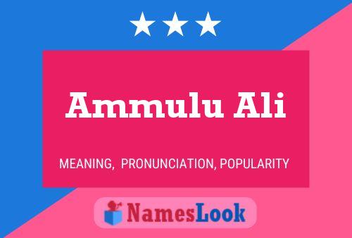 Ammulu Ali Name Poster