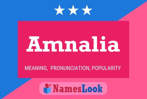 Amnalia Name Poster