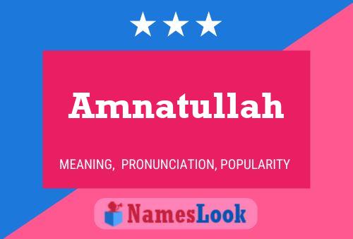 Amnatullah Name Poster