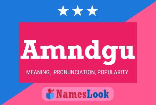 Amndgu Name Poster