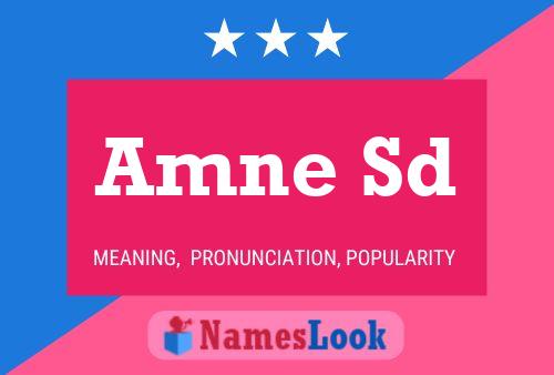 Amne Sd Name Poster