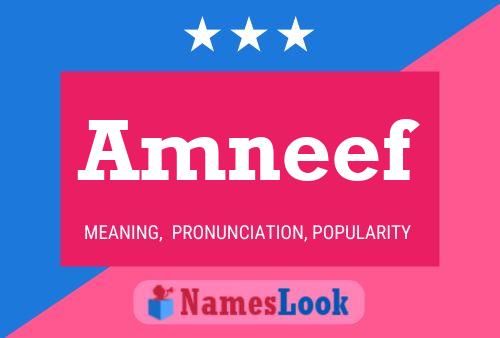 Amneef Name Poster