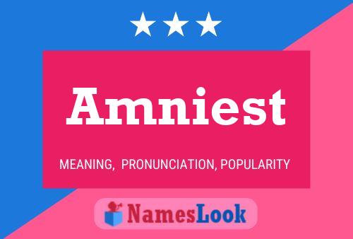 Amniest Name Poster