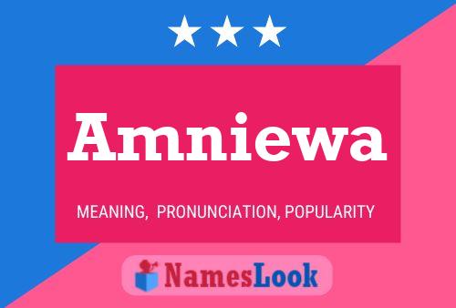 Amniewa Name Poster