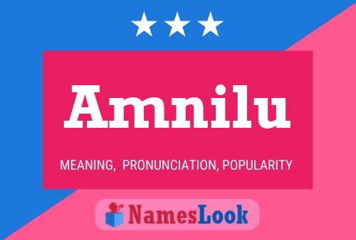 Amnilu Name Poster