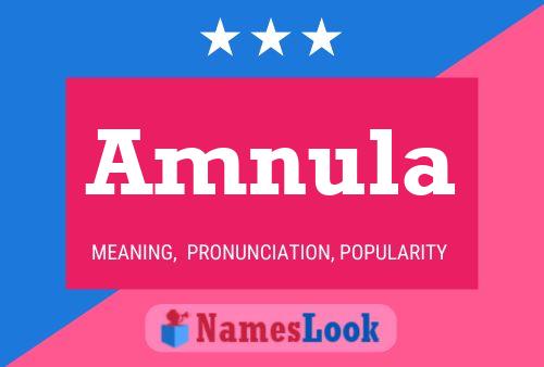 Amnula Name Poster