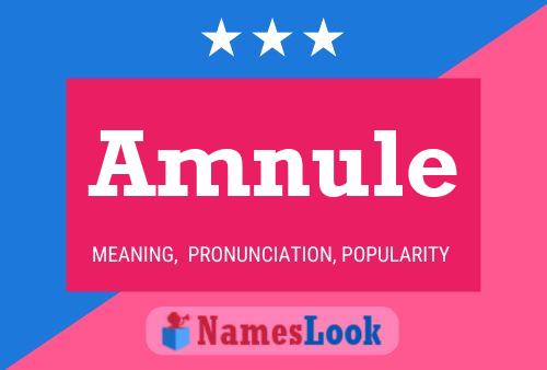 Amnule Name Poster