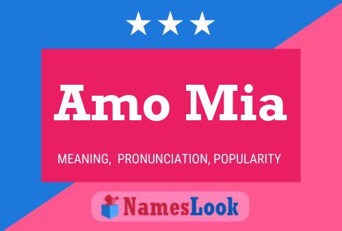 Amo Mia Name Poster