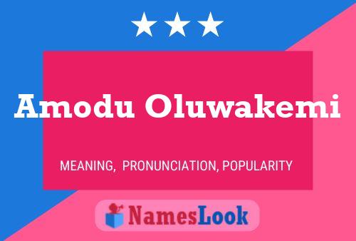 Amodu Oluwakemi Name Poster