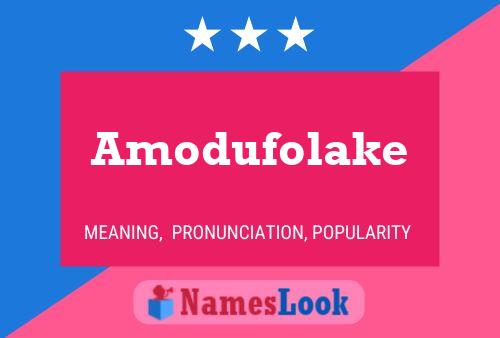 Amodufolake Name Poster