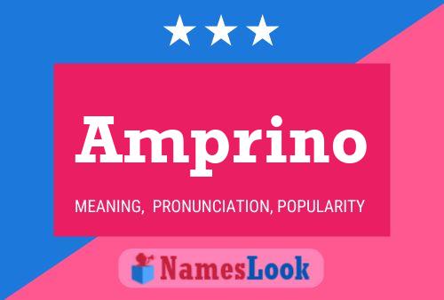 Amprino Name Poster