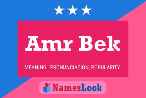 Amr Bek Name Poster