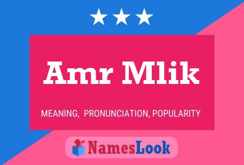 Amr Mlik Name Poster